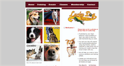 Desktop Screenshot of luckydogsportsclub.com